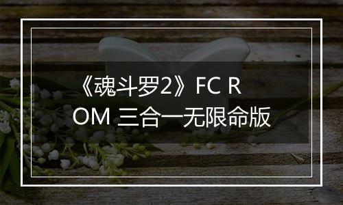 《魂斗罗2》FC ROM 三合一无限命版