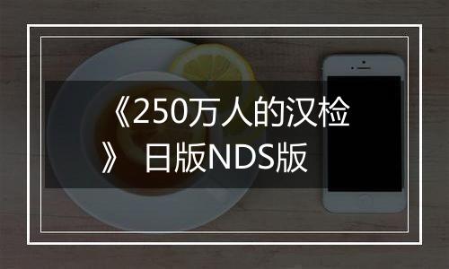 《250万人的汉检》 日版NDS版