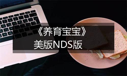 《养育宝宝》 美版NDS版