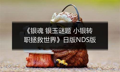 《银魂 银玉谜题 小银转职拯救世界》日版NDS版
