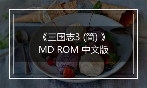 《三国志3 (简) 》MD ROM 中文版