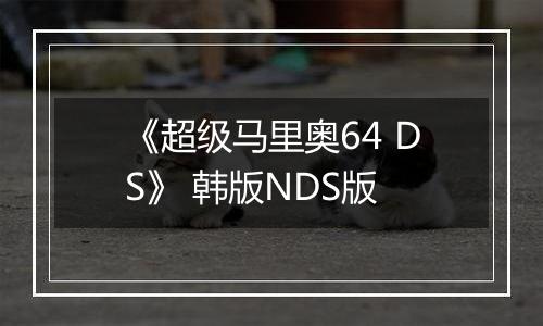 《超级马里奥64 DS》 韩版NDS版