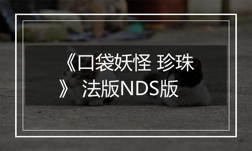 《口袋妖怪 珍珠》 法版NDS版