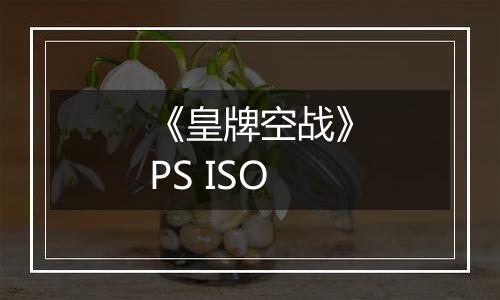 《皇牌空战》PS ISO