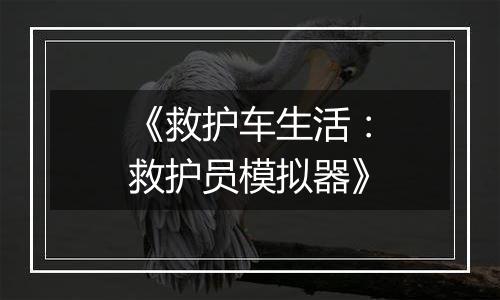 《救护车生活：救护员模拟器》