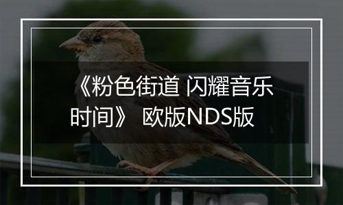 《粉色街道 闪耀音乐时间》 欧版NDS版