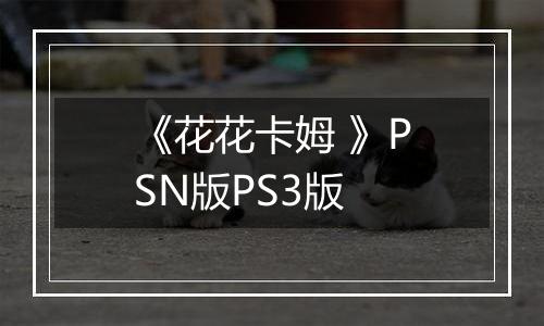 《花花卡姆 》PSN版PS3版