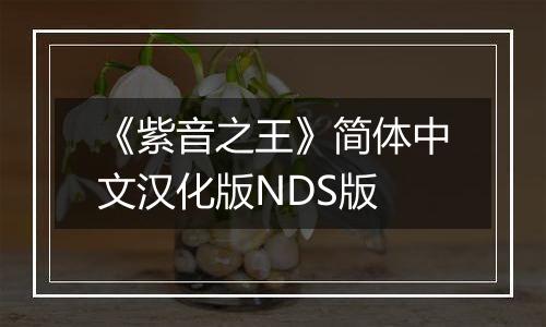 《紫音之王》简体中文汉化版NDS版