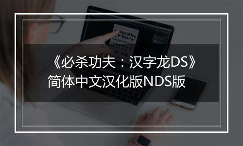 《必杀功夫:汉字龙DS》简体中文汉化版NDS版