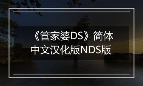 《管家婆DS》简体中文汉化版NDS版