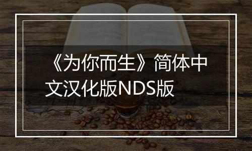 《为你而生》简体中文汉化版NDS版