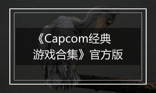 《Capcom经典游戏合集》官方版