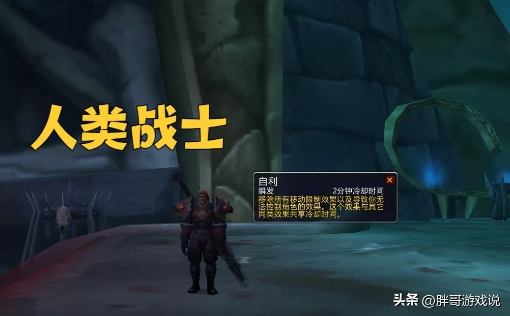 魔兽世界怀旧服牧师最佳种族,十大职业最强种族搭配