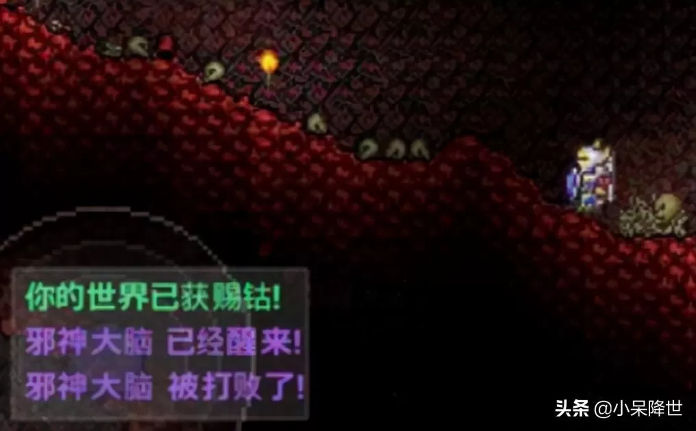 泰拉瑞亚肉山后攻略,泰拉瑞亚战士打肉山攻略