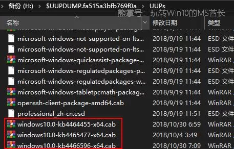 可下载所有Win10 ISO镜像包括最新预览版和更新补丁工具(UUP dump downloader)