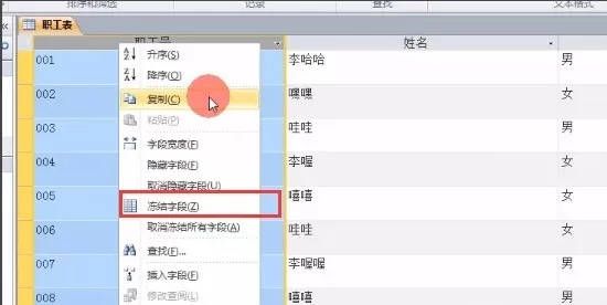 Access怎么冻结字段?Access冻结字段怎么设置