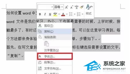 Word软件怎么进行中文字体和西文字体的切换？