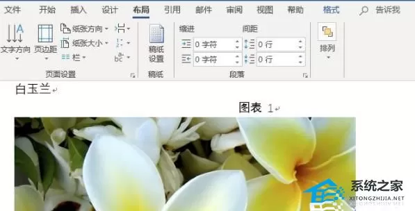 Word图片如何统一调整大小？Word图片统一调整大小的方...