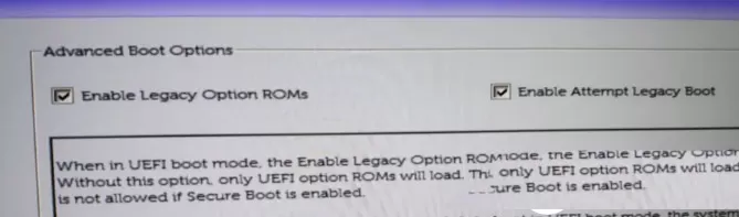 戴尔笔记本支持TPM2.0吗?戴尔笔记本怎么开启TPM2.0?