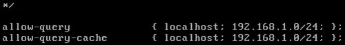 Linux(CentOS)如何安装DNS服务器?