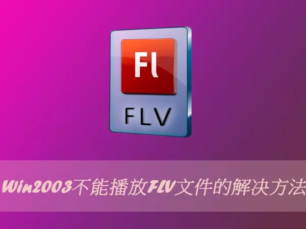 Win2003不能播放FLV文件的解决方法