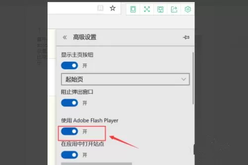 Win10安装了flash却总提示flash未安装怎么办?