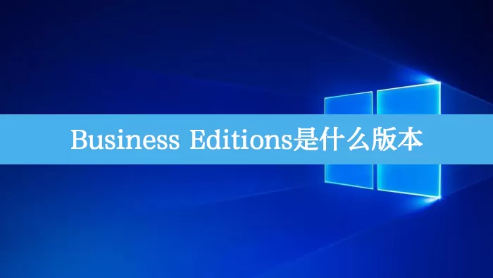 Business Editions是什么版本?