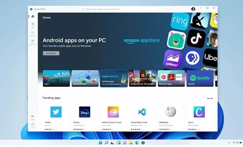 Win11提示无法安装程序包怎么办？Win11提示无法安装程...