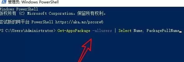 Win11应用商店点了没反应怎么办?Win11应用商店点了没反应解决方法