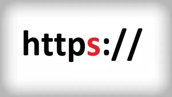 怎么在Windows11上启用DNS over HTTPS（DoH）？
