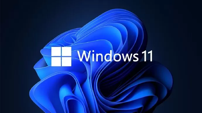 Win11怎么运行安卓应用？Win11直接运行安卓app教程