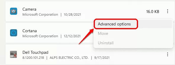 如何查看Win11安装的应用程序的版号?