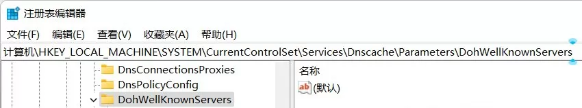 Win11无法DNS加密?Win11首选的DNS加密无法选择的解决方法