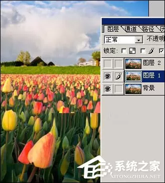 PS图片处理软件怎么将照片处理成油画效果?