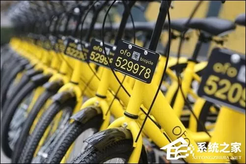 ofo共享单车芝麻信用免押金怎么开通?ofo免押金要多少分?