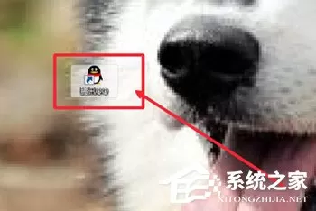 QQ视频聊天记录怎么录制?QQ视频聊天记录录制的方法
