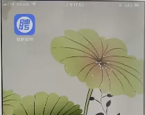 智联招聘如何隐藏简历？智联招聘隐藏简历的方法