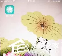 掌上电力如何交费？掌上电力交费的方法