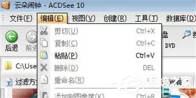 ACDSee中如何使用粘贴功能?ACDSee中使用粘贴功能的操作步骤