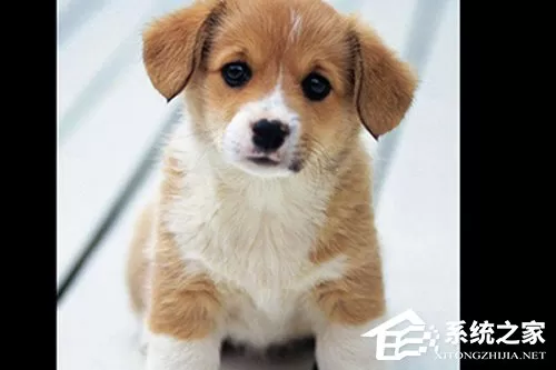 PS人物多重镜像怎么做?人物多重镜像效果制作方法详解