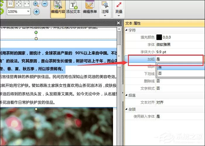 PDF文件怎么加粗字体?迅捷PDF编辑器加粗PDF文件字体的方法