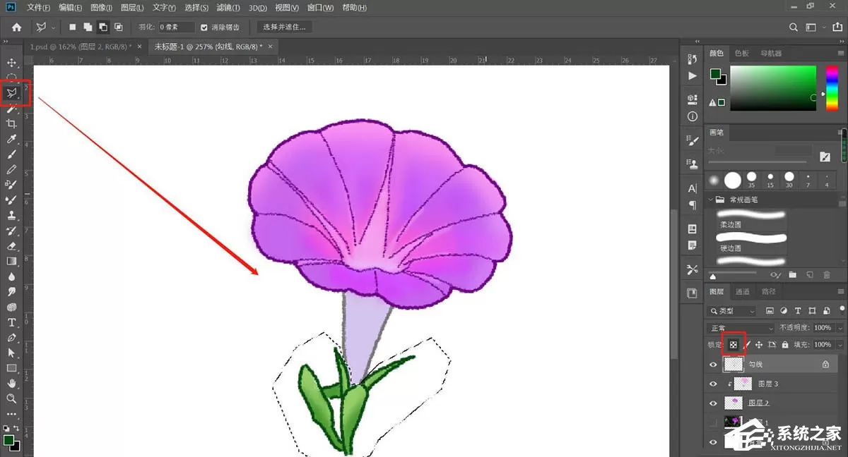 PS如何手绘牵牛花插画?Photoshop绘制牵牛花的方法
