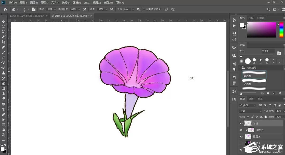 PS如何手绘牵牛花插画?Photoshop绘制牵牛花的方法