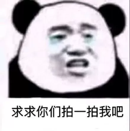 微信拍一拍可以加后缀吗?当然!创意搞笑后缀弄起来!