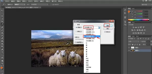 PS中怎样设置照片冷却滤镜效果?PS中设置照片冷却滤镜效果的教程