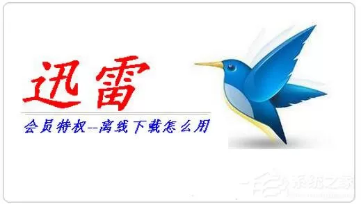迅雷离线下载怎么使用？迅雷离线下载的使用方法