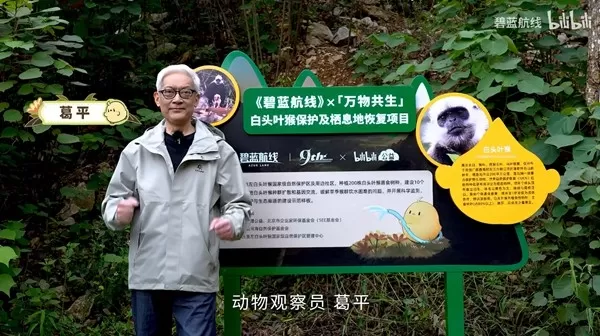九年同行不负热爱!《碧蓝航线》喜迎9周岁生日 双向奔赴共赴新程