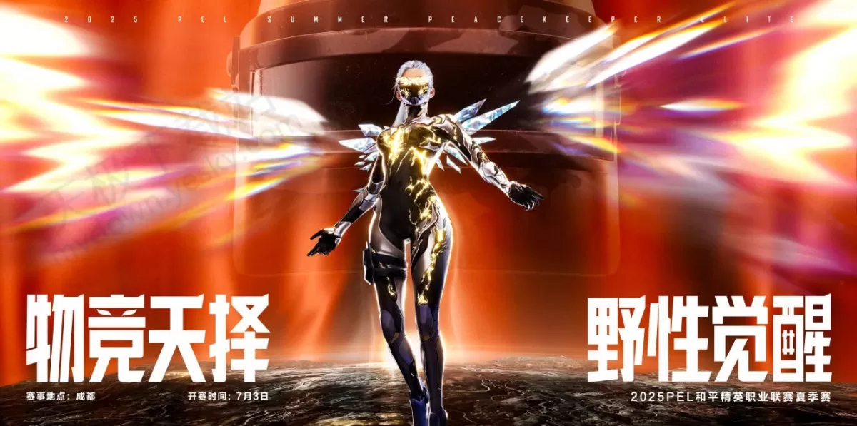 2025和平精英PEL夏季赛详细赛程及赛制介绍_积分与奖金规则详解