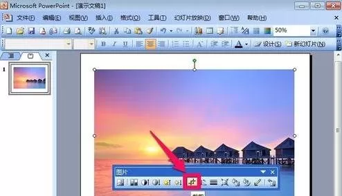 如何使用ppt2013中的裁剪功能?ppt2013中裁剪功能的使用方法