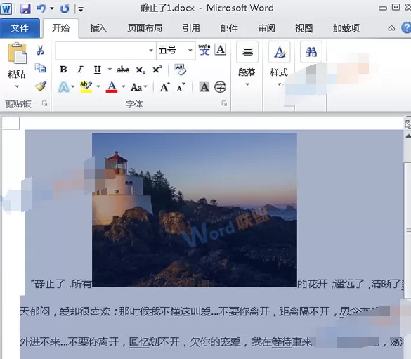 Word中的内容怎么以图片格式插入Excel2010？